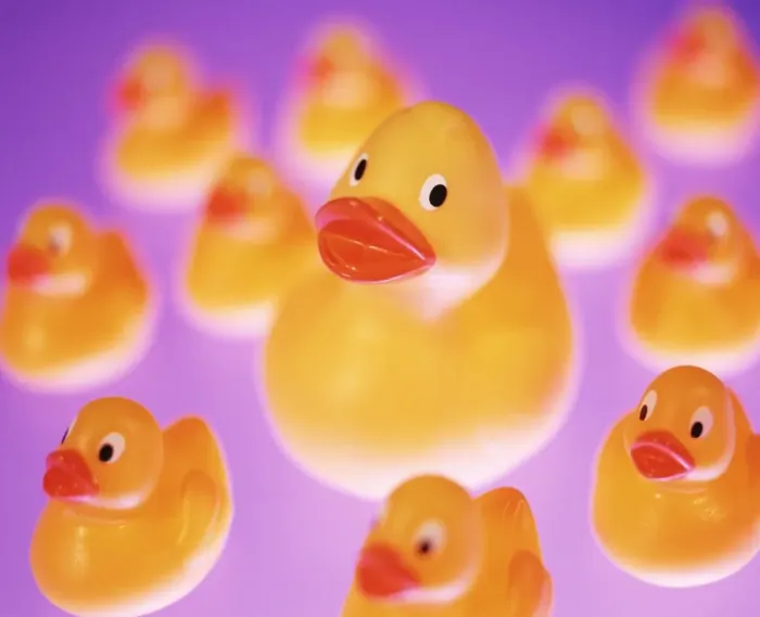 Framed Print : Rubber Duck Print Framed Print : Rubber Duck Print
