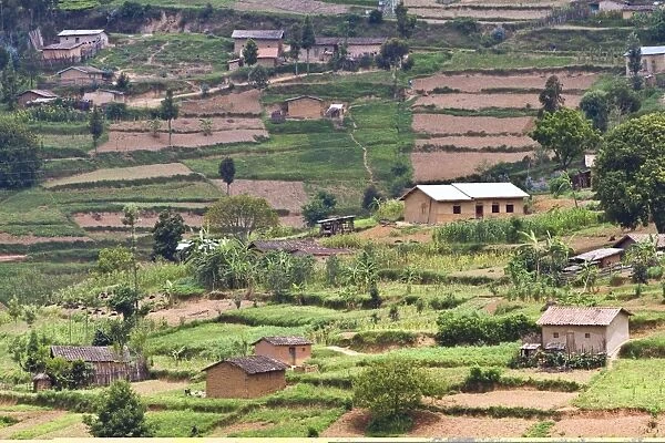 Rwandan farming C014  /  0980