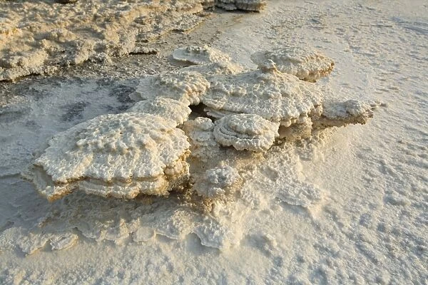 Salt encrustations by the Dead Sea