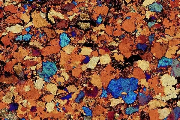 Sandstone, thin section, polarized LM