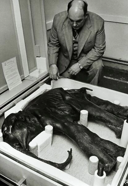 Scientist examining carcass of baby mammoth