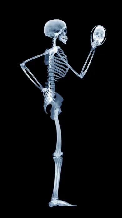 Framed Print : Computer-enhanced X-ray print of a side view skeleton in a mirror Framed Print : Computer-enhanced X-ray print of a side view skeleton in a mirror