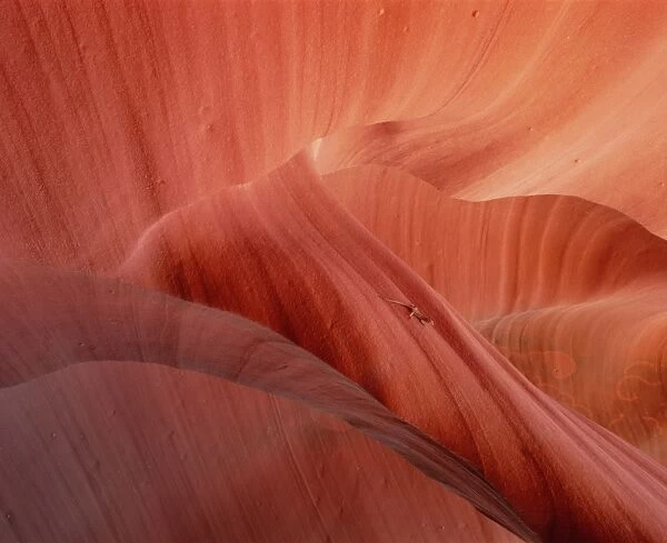 Slot canyon Arizona, USA