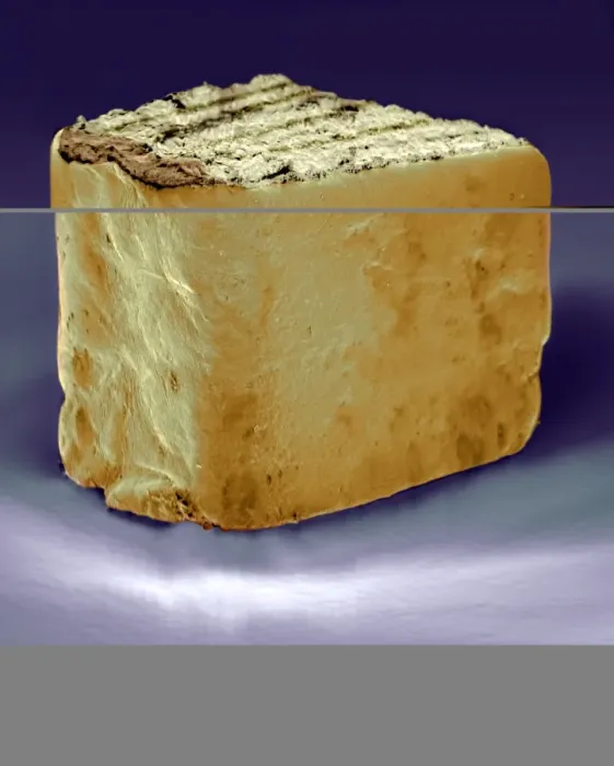 Framed Print : SEM Print of the Smallest Book in the World Framed Print : SEM Print of the Smallest Book in the World