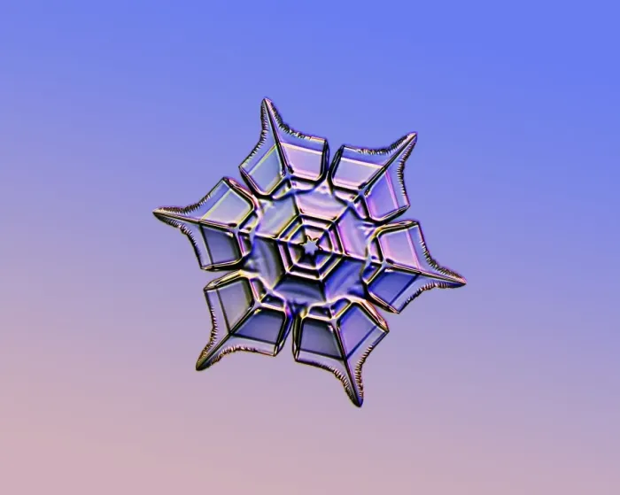Framed Print : Light Micrograph Print of Stellar Plate Snowflake Framed Print : Light Micrograph Print of Stellar Plate Snowflake