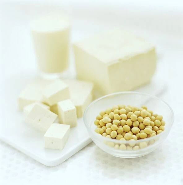Soya bean products