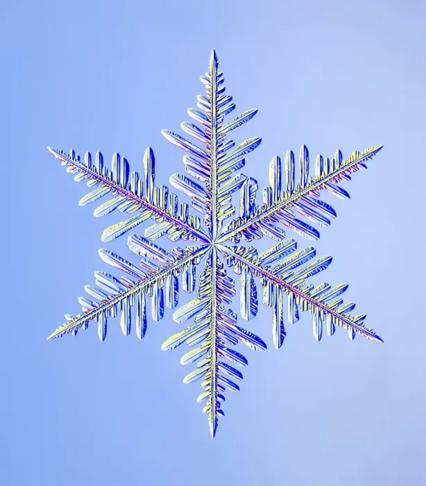 Framed Print : Dendritic Snowflake Print