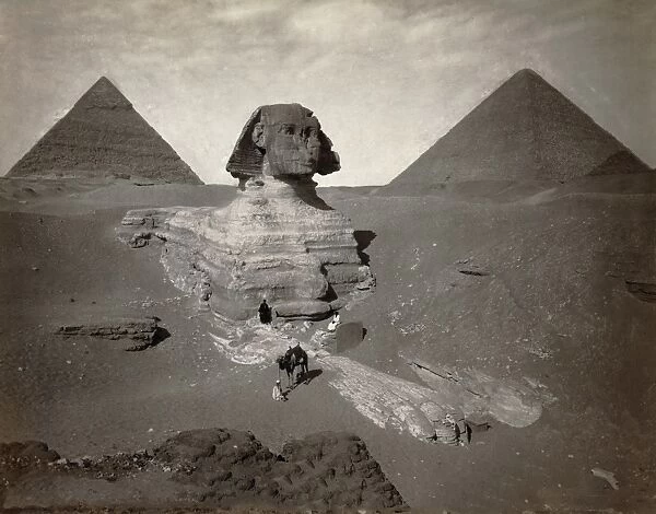 Sphinx, Egyptian pyramids, 19th century C016  /  2387