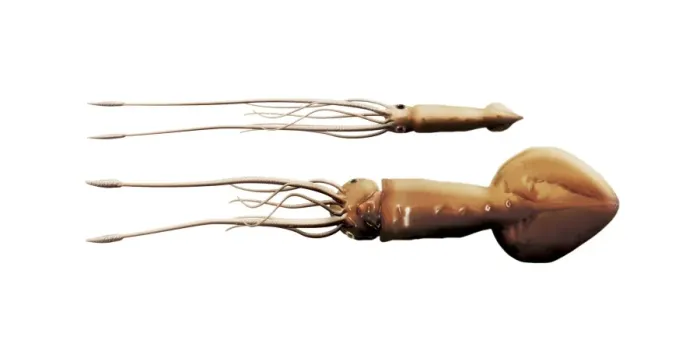 Framed Print : Squid Print: Computer Artwork of Two Species Framed Print : Squid Print: Computer Artwork of Two Species