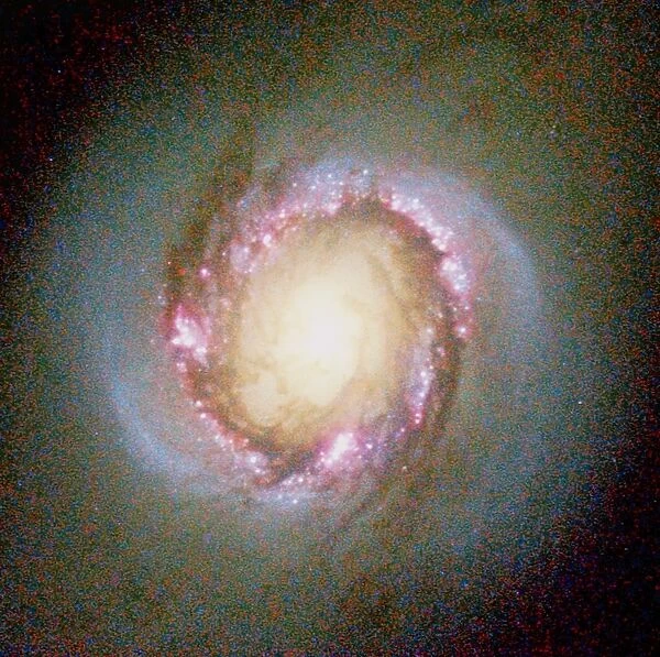 Star birth in galaxy NGC 4314