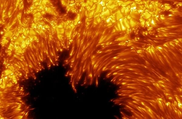 Sunspots. Swedish One-metre Solar Telescope image of sunspots on the surface of the Sun