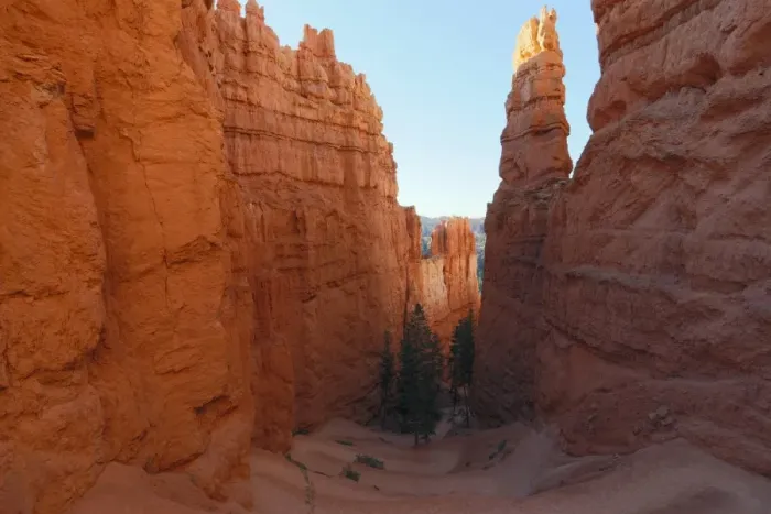 Framed Print : Switchbacks Print, Bryce Canyon National Park Framed Print : Switchbacks Print, Bryce Canyon National Park