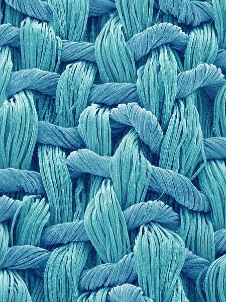 Synthetic fibres, SEM