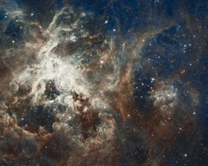 Framed Print : Tarantula Nebula Print: A composite image of the Tarantula Nebula Framed Print : Tarantula Nebula Print: A composite image of the Tarantula Nebula
