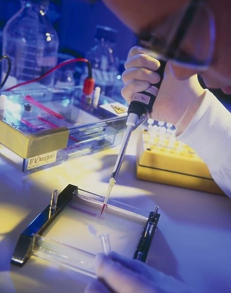 Technician using a pipettor during DNA sequencing