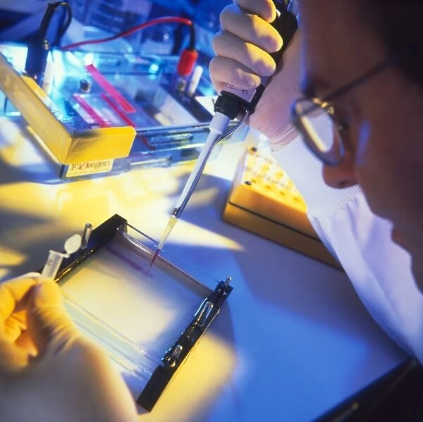 Technician using a pipettor during DNA sequencing