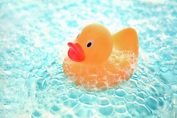 Toy duck floating on water