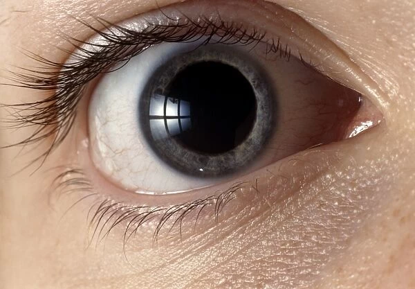 Front view of human eye with dilated pupil