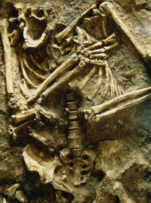 Framed Print : Neanderthal Skeleton Print Framed Print : Neanderthal Skeleton Print