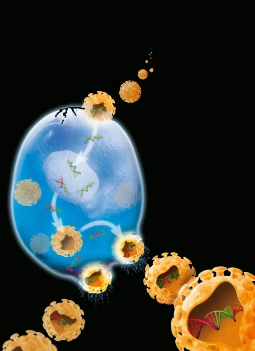 Framed Print : Viral Replication Cycle Print