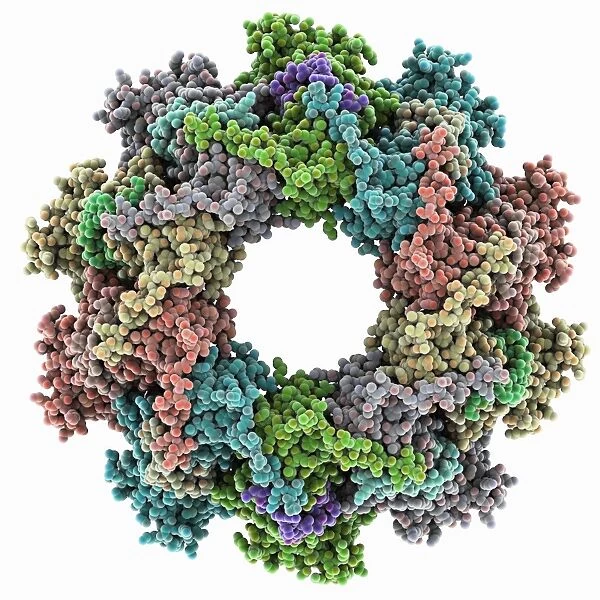 VSIV virus protein complex C015  /  6422