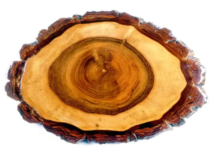 Framed Print : Walnut Tree Trunk Print Framed Print : Walnut Tree Trunk Print