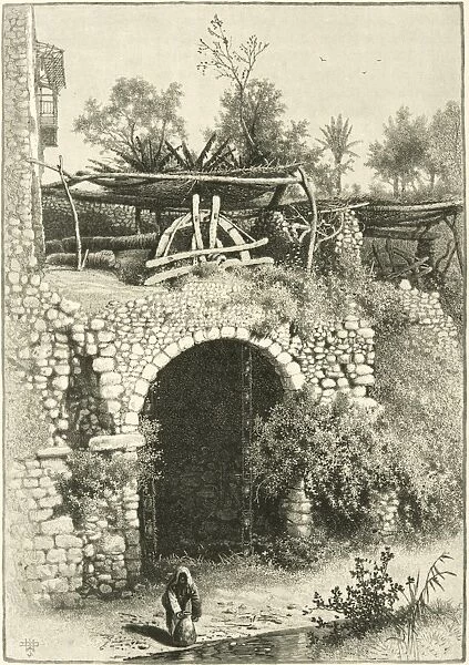 Water wheel in Egypt, 1880s C016  /  8989