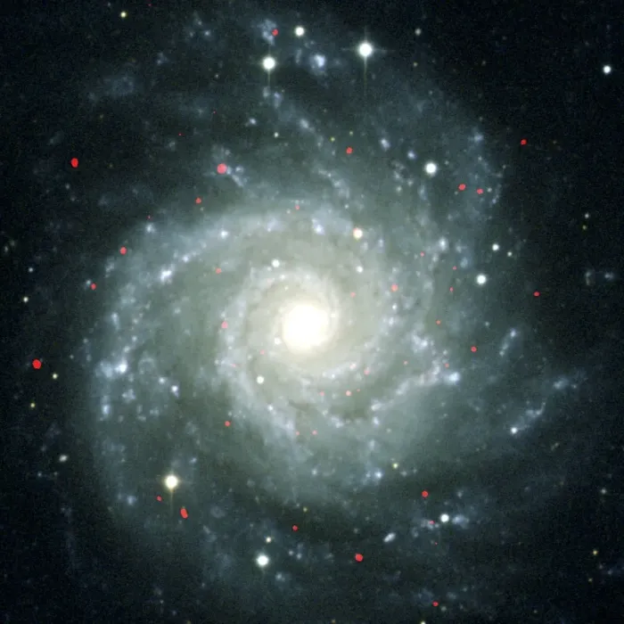 Framed Print : Chandra X-ray Sources in M74 Galaxy Print Framed Print : Chandra X-ray Sources in M74 Galaxy Print