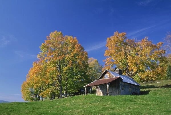 485-2671. Wooden barn building and trees in fall colours