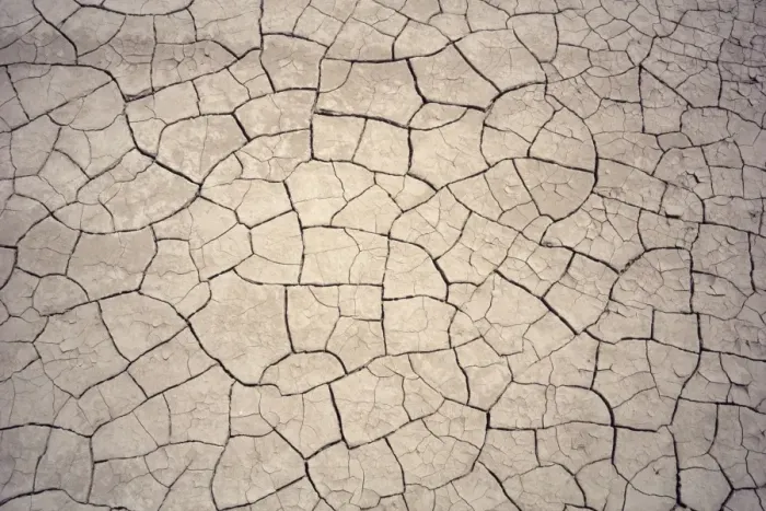 Framed Print : Mud Crack Patterns Print Framed Print : Mud Crack Patterns Print