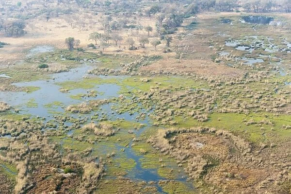 Aerial view of Okavango delta, Botswana, Africa