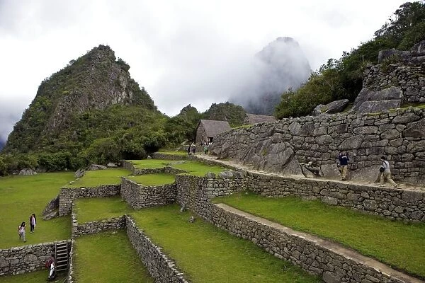 Agricultural terraces, Machu Picchu, peru, peruvian, south america, south american, latin america, latin american South America. The lost city of the Inca was rediscovered by Hiram Bingham in 1911