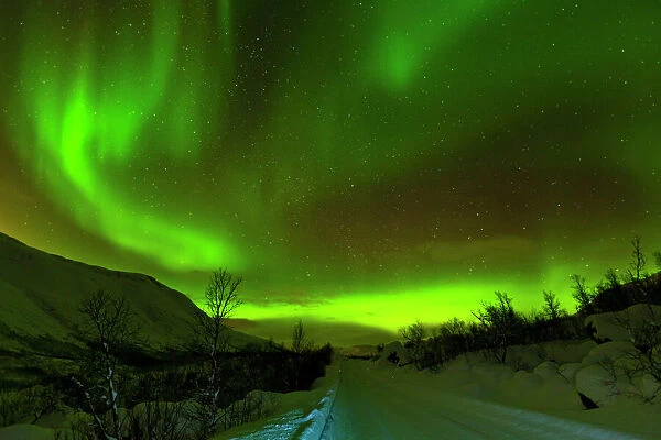 Aurora borealis (Northern Lights) seen over a snow covered road, Troms, North Norway, Scandinavia, Europe