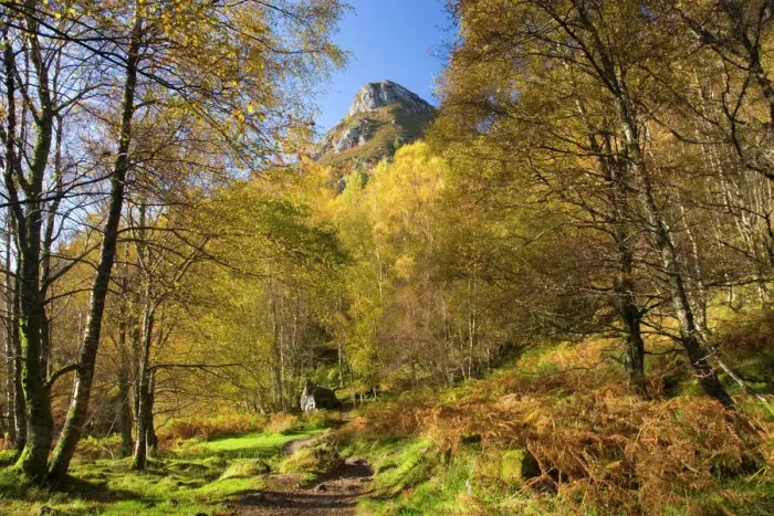 Framed Print : Autumn View Print of Ben A an Summit, Stirling, Scotland Framed Print : Autumn View Print of Ben A an Summit, Stirling, Scotland