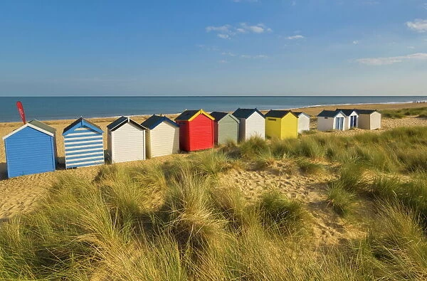 Brightly painted beach huts, rear view, in the afternoon sunshine below Gun Hill