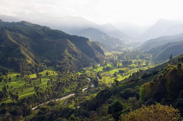 Cocora Valley, Salento, Colombia, South America