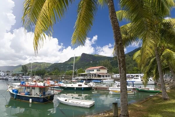 The colourful palm-lined harbour, Victoria, Island of Mahe, Seychelles