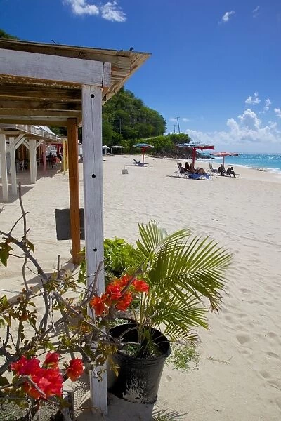 Darkwood Beach, St. Johns, Antigua, Leeward Islands, West Indies, Caribbean, Central America