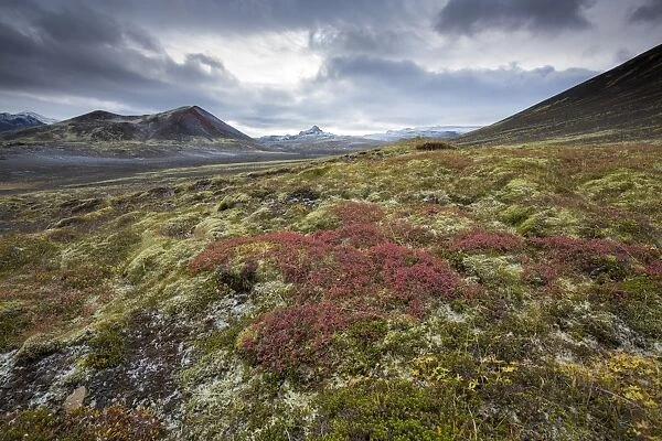 Dramatic frozen landscape, Snaefellsnes Peninsula, Iceland, Polar Regions