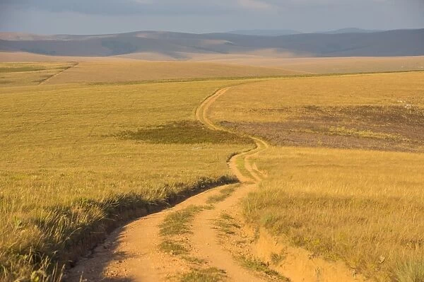 Dusty road leading through the Nyika National Park, Malawi, Africa