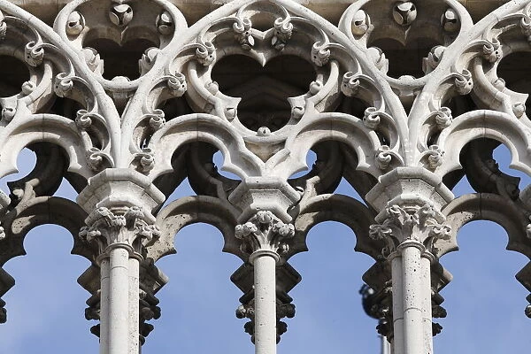 Exterior columns, Notre Dame de Paris cathedral, Paris, France, Europe