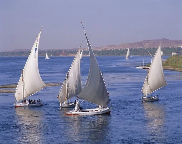 Feluccas on the River Nile, Aswan, Egypt, North Africa