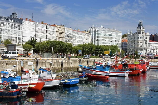 Fishing boats in Darsena Marina, La Coruna City, Galicia, Spain, Europe