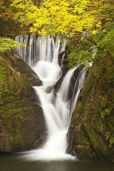 Furnace Falls, Furnace, Dyfed, Wales, United Kingdom, Europe