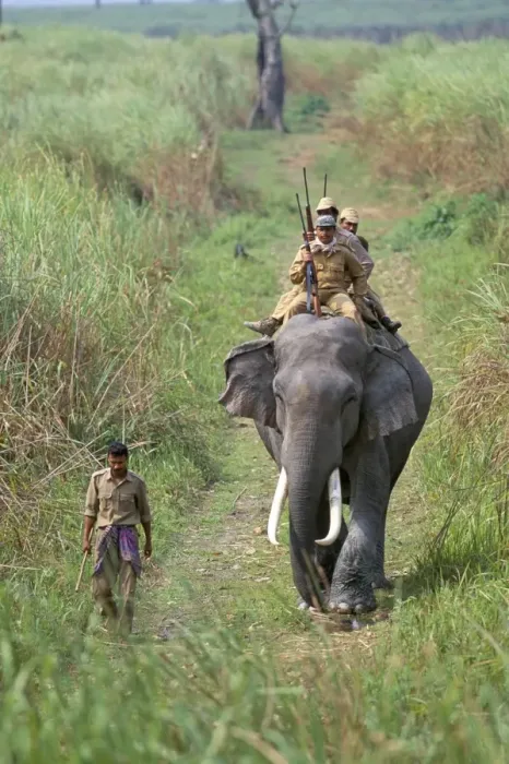 Framed Print : Game guards patrolling on elephant back Print Framed Print : Game guards patrolling on elephant back Print