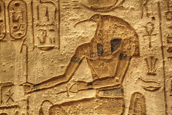 God Thoth, Sunken Relief, Lateral Chamber, Ramses II Temple, UNESCO World Heritage Site