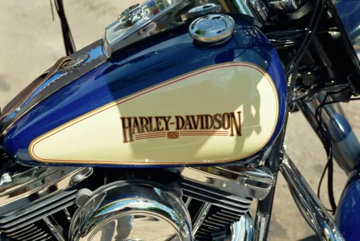 Framed Print : Harley Davidson Motorcycle Print Framed Print : Harley Davidson Motorcycle Print