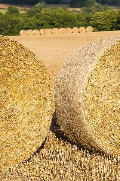 Hay bales in The Cotswolds, Longborough, Gloucestershire, England, United Kingdom, Europe