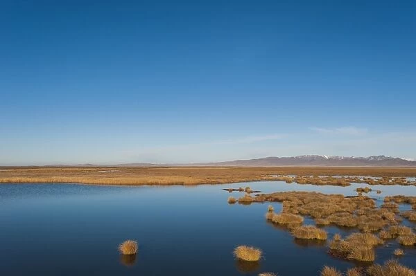 Huahu (Flower Lake), an important wetland area which supports a large array of biodiversity