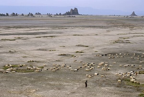 Lac Abhe (Abbe) in wide rift valley, tufa towers, relics from old lake at higher level